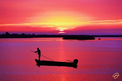 Rowing Towards the Sunrise